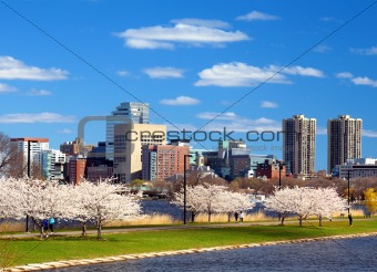 Boston Skyline in Spring