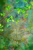 Natural leaves grunge beautiful, artistic background 