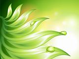 Abstract green background with leaves and water drops