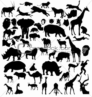 set of African and tropical animals