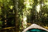 Canoe in Amazon Rainforest