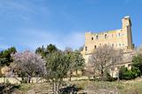 ruined castle of Chateauneuf du Pape in Provence