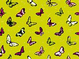 Seamless vector highly detailed background with butterflies in summer colors