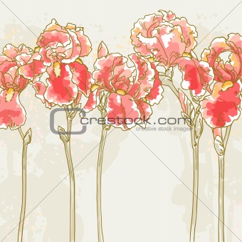 Vector romantic floral background with red iris