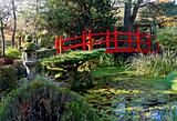 Bridge of Life in Kildandre Japanese Gardens