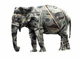 Dollar elephant