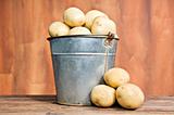 Bucket of fresh potatoes