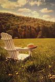 Adirondack chair in a field of tall grass