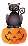 Halloween Cat Sitting on Pumpkin Illustration