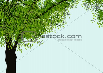 Lonely vector tree