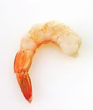 shrimp on a white background 