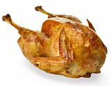 roasted turkey 
