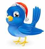 Blue bird in Santa Claus hat