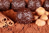 Dark Chocolate Pralines