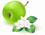 Green apple with leaf and flowers