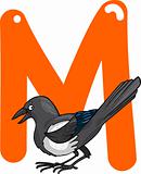 M for magpie