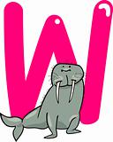 W for walrus