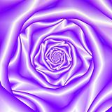 Lavender Rose Spiral