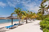 A Sunny Caribbean Beach with Sunloungers and Umbrellas