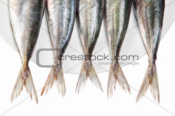 Tails of raw mackerel on a plate. On a white background.