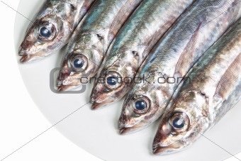 The heads of raw mackerel on a plate. On a white background.