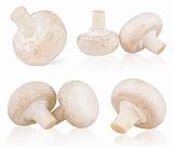 Set of fresh mushroom champignons