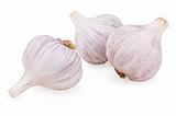 Three purple garlic