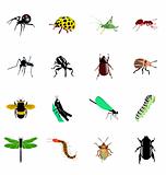the set of the different kinds of insects and spiders