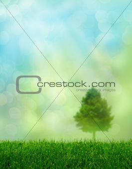 Green grass spring fantasy