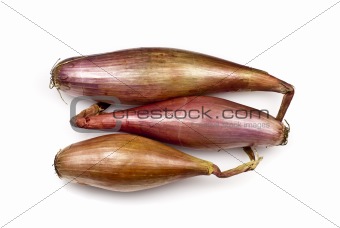 Echalion Onions