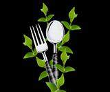 green leaves around fork and spoon