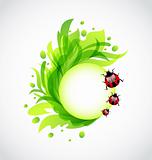 Eco floral transparent background with ladybugs
