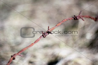 A part of barbed wire