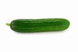Single Baby Cucumber. 