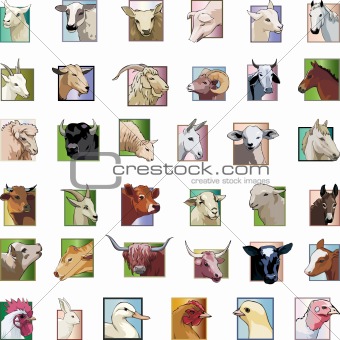 set - animals from a farm