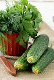 fresh cucumbers and fresh herbs parsley, dill