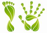 hand and foot with leaves, vector 