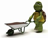 tortoise gardener with a wheel barrow carrying soil