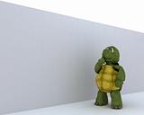 tortoise with jigsaw puzzle