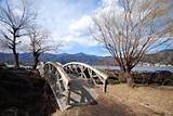 bridge and tree in the Japanese