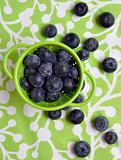 Fresh Modern Blueberries