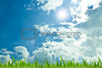 The grass with a blue sky 