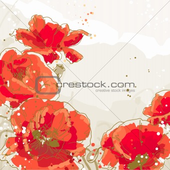 Background with flowers of poppy