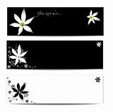Vector set of white and black floral headers. EPS10