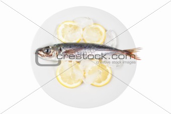 Mackerel in the bowl with the lemon. On a white background.