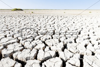 dry land, Parc Regional de Camargue, Provence, France