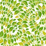 Seamless white-green floral pattern