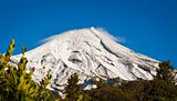 Mt Egmont or Mt Taranaki