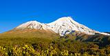Mt Egmont or Mt Taranaki