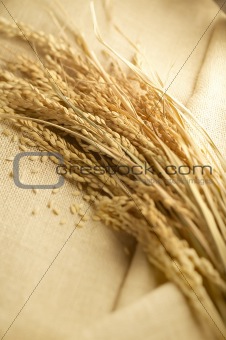 wheat lay on linen